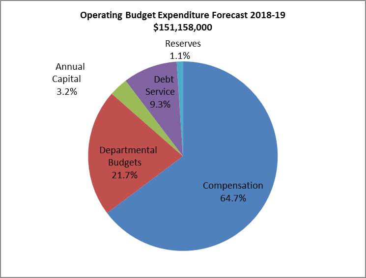 2018-19 Operating Budget Expenditure Summary 