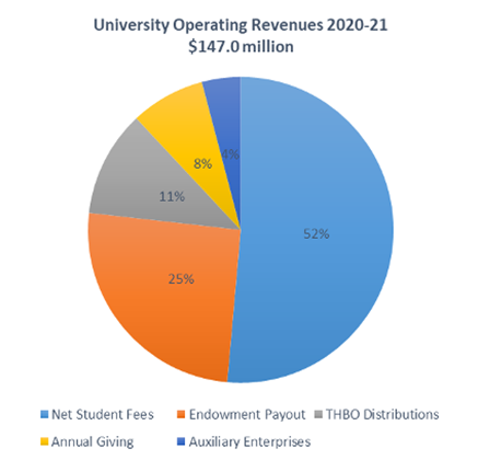 2020-21 Revenue Summary